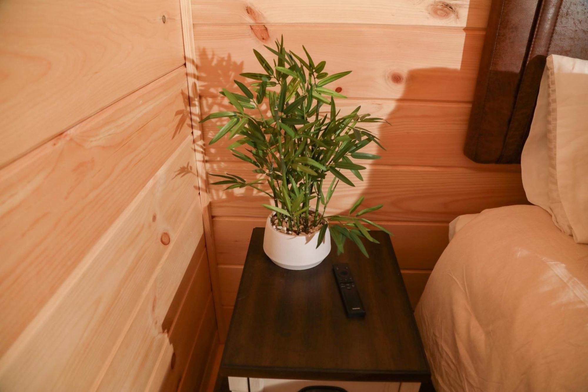Route 6 Campground Gaines Rom bilde
